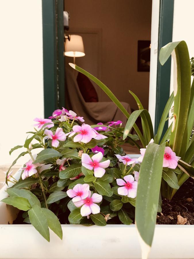 Vila La Casa Di Cortile Rizzuto Sferracavallo Exteriér fotografie